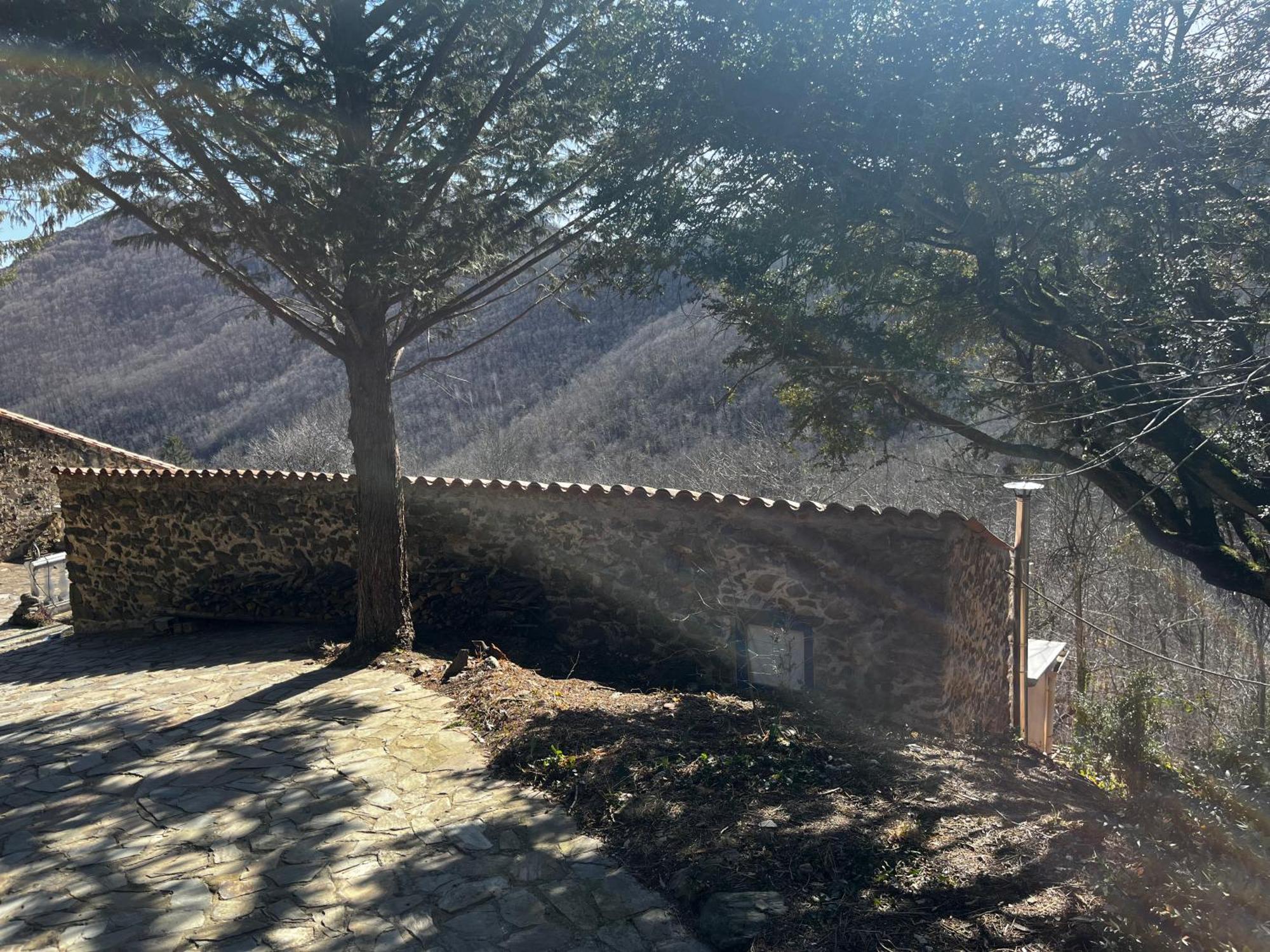 MontferrerMas Caraus公寓 外观 照片