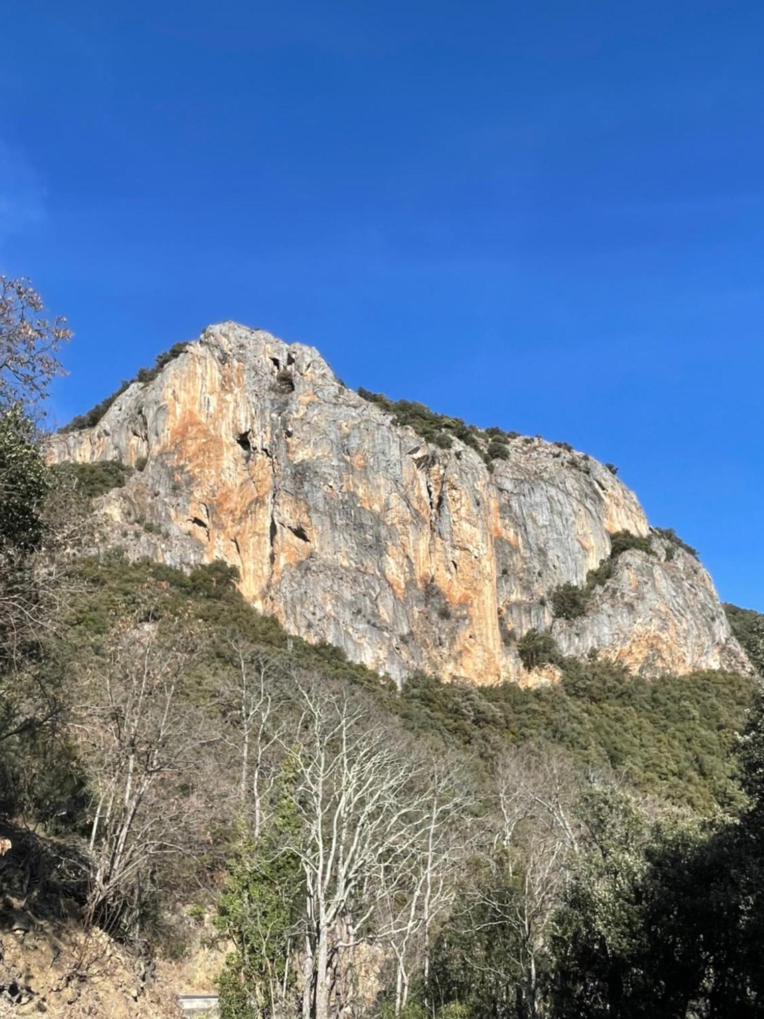 MontferrerMas Caraus公寓 外观 照片