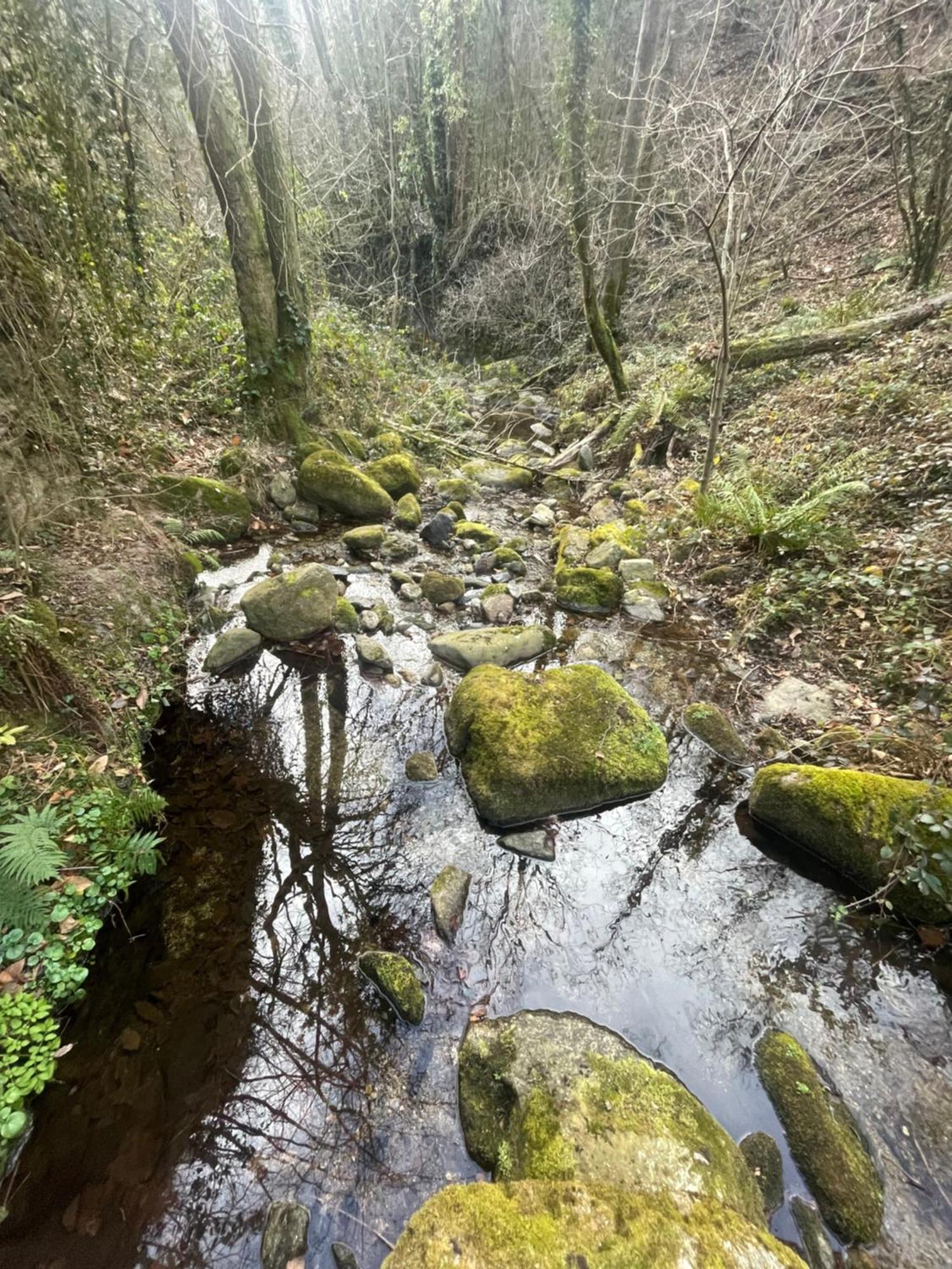 MontferrerMas Caraus公寓 外观 照片